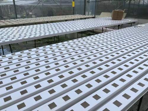 Indoor hydroponic garden strawberry growing system nft channel hydroponics