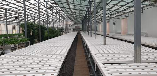 Indoor hydroponic garden strawberry growing system nft channel hydroponics
