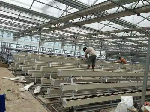 Greenhouses structure with NFT Gully System Plastic Channel gutter hydroponics for strawberry