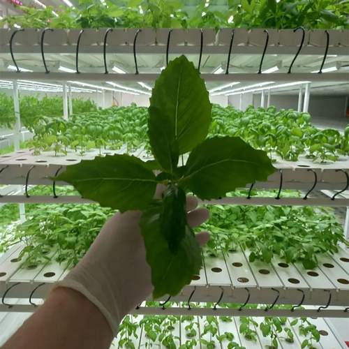 indoor gardening system hydroponic nft channel grow system