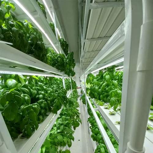 indoor gardening system hydroponic nft channel grow system