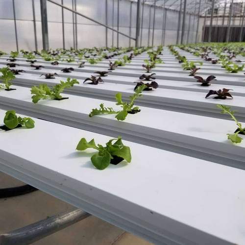 hydroponics nft systems farm system hydroponic nft channel hydroponics growing