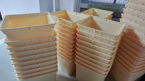 Elevate Your Setup with Superior dutch bucket hydroponic – From Trusted Hydroponic Experts