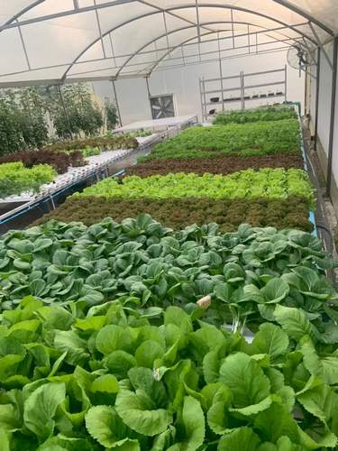 Hydroponic Channels Nft Gully Channels Custom Nft Channel Gully Hydroponic Nft