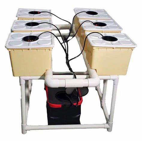 Five gallon bucket hydroponics from G&N: Elevate growth with top-tier design