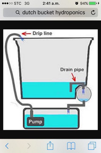 hydroponic system bucket