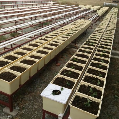 Five gallon bucket hydroponics from G&N with top-tier design