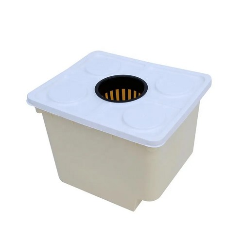 G&N’s dutch bucket hydroponic system: Trusted design, extraordinary growing results