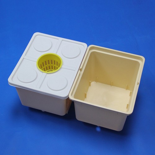 dutch bucket hydroponic system