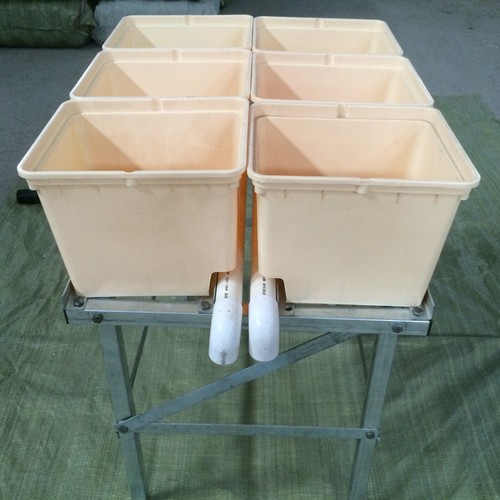 hydroponic dutch bucket system