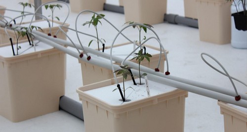 bubble flow buckets hydroponic system