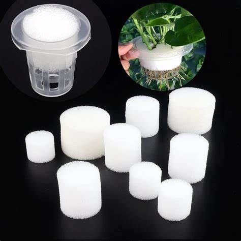 grow sponges hydroponics