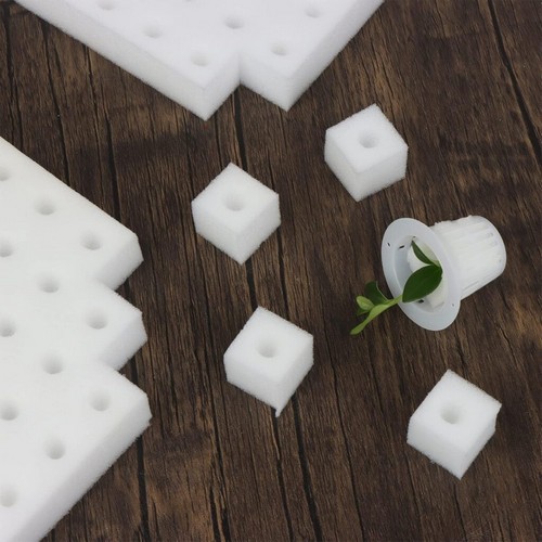 using sponges for hydroponics