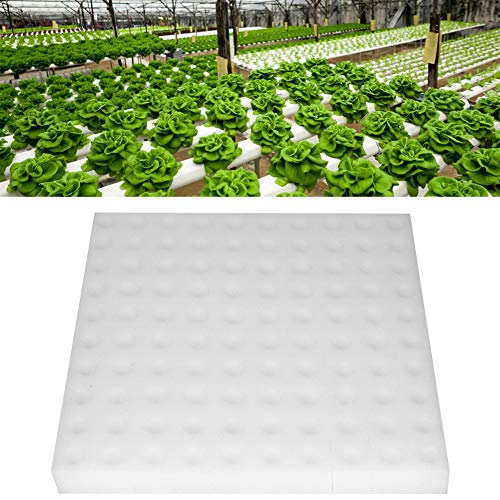 Sponge for hydroponic: Nutrient-retentive, ideal for all hydroponic setups