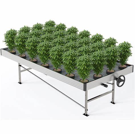 ebb and flow tray uk