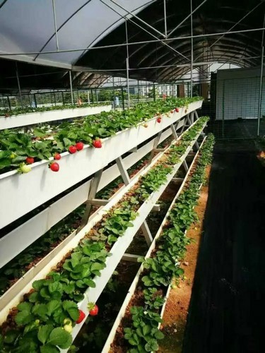 gutter grow system