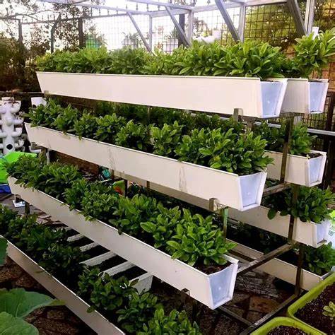 Tired of Fragile Planters? G&N’s Strawberry Gutter Ensures Long-Lasting Use