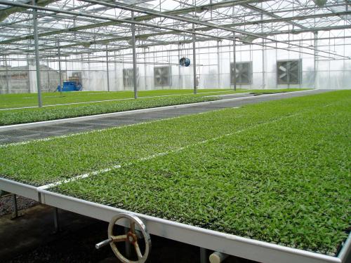 seed starting trays with hole puncher