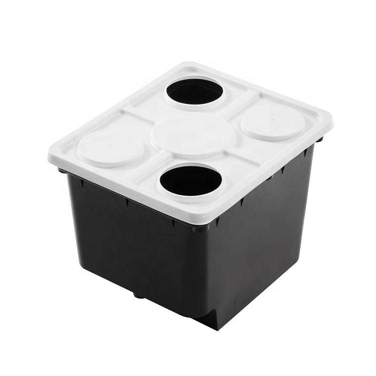11L Dutch Bucket Hydroponic Growing System High-Yield Bato Bucket System with Drain Elbow Suitable for Strawberries Vine Crops