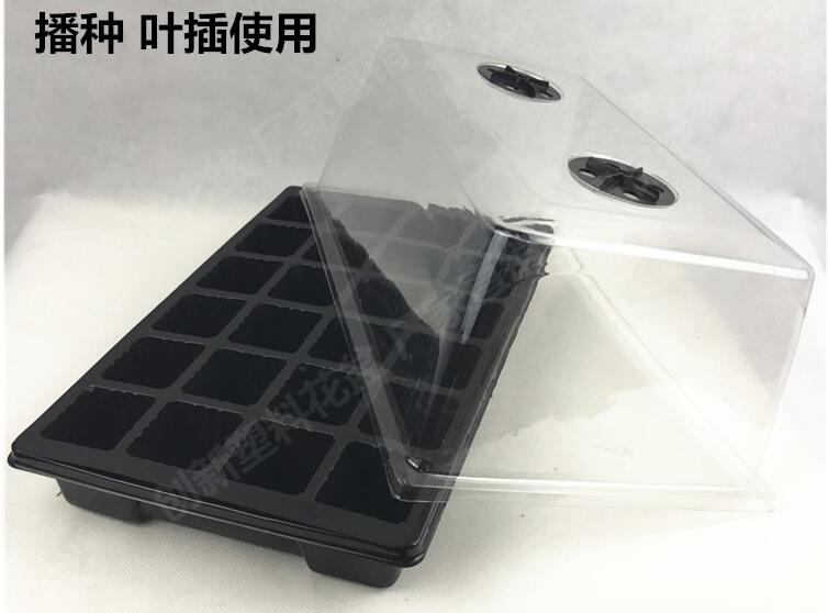 seed starting trays