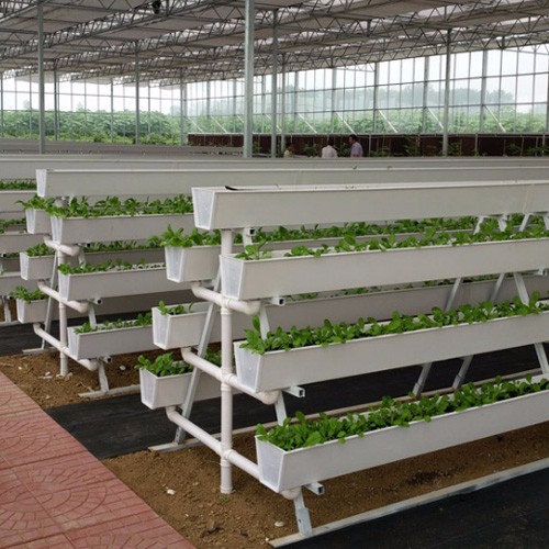 Vertical PVC Trough Hydroponic System – Grow Gutter for Strawberry Cultivation in Greenhouses