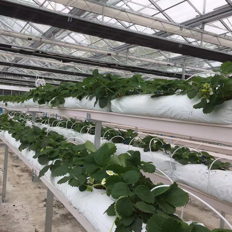 Good Quality PVC NFT Gutter System – Hydroponic Strawberry Planting Gutter for Greenhouses