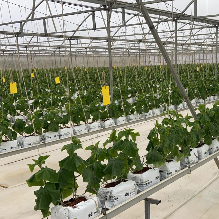 Good Quality PVC NFT Gutter System – Hydroponic Strawberry Planting Gutter for Greenhouses