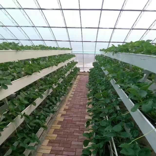 Greenhouse PVC Gutter with Drainage Board for Hydroponic Strawberry Growing System