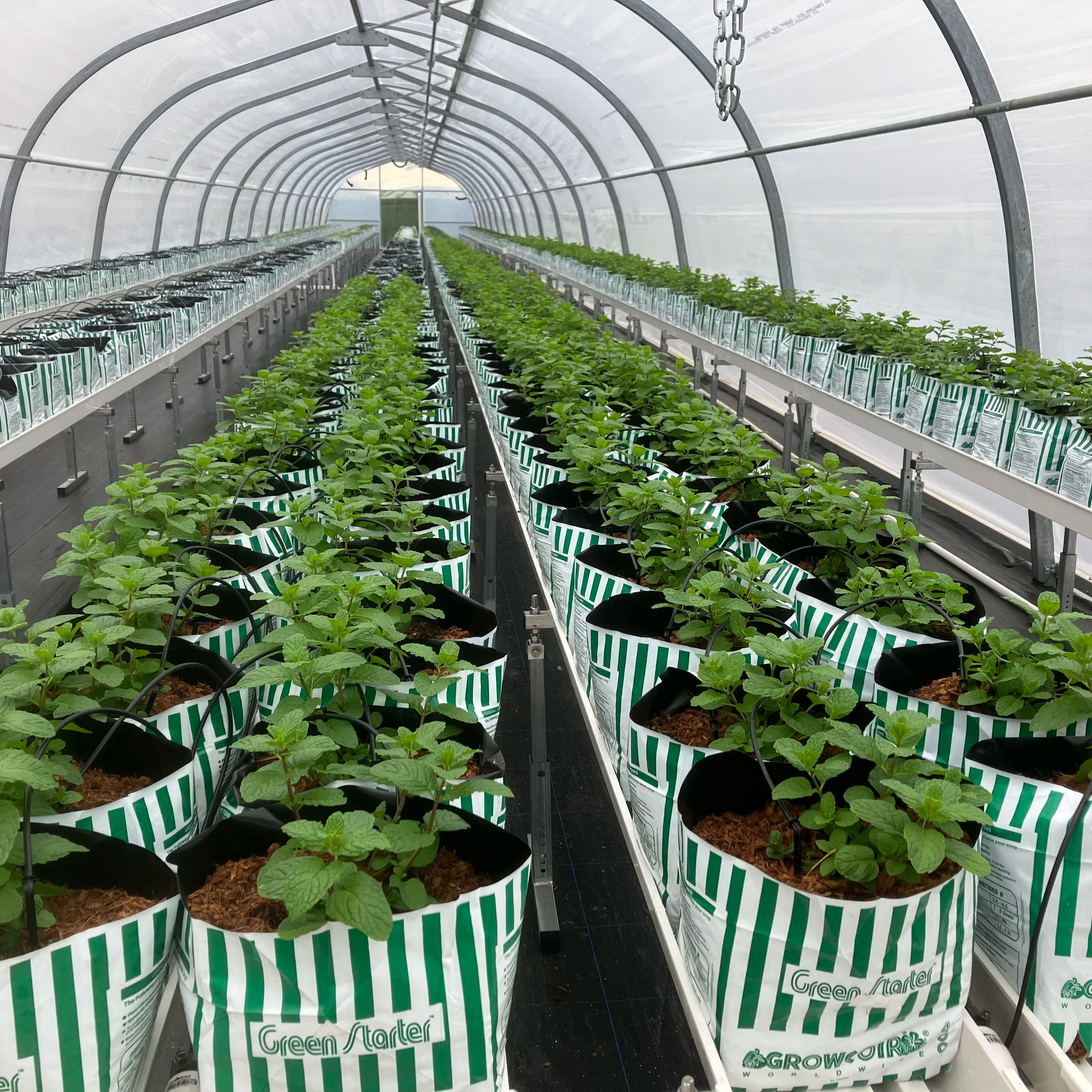 High Quality PVC NFT Gutter System Hydroponics Strawberry Gutter Greenhouse