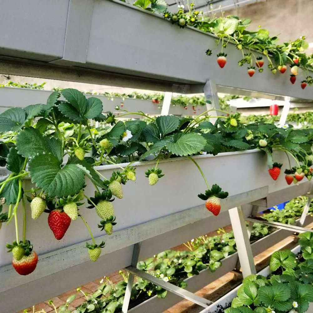 25x32x28cm Greenhouse Strawberry Hydroponics Gutter Growing Systems Vertical Strawberry Gully
