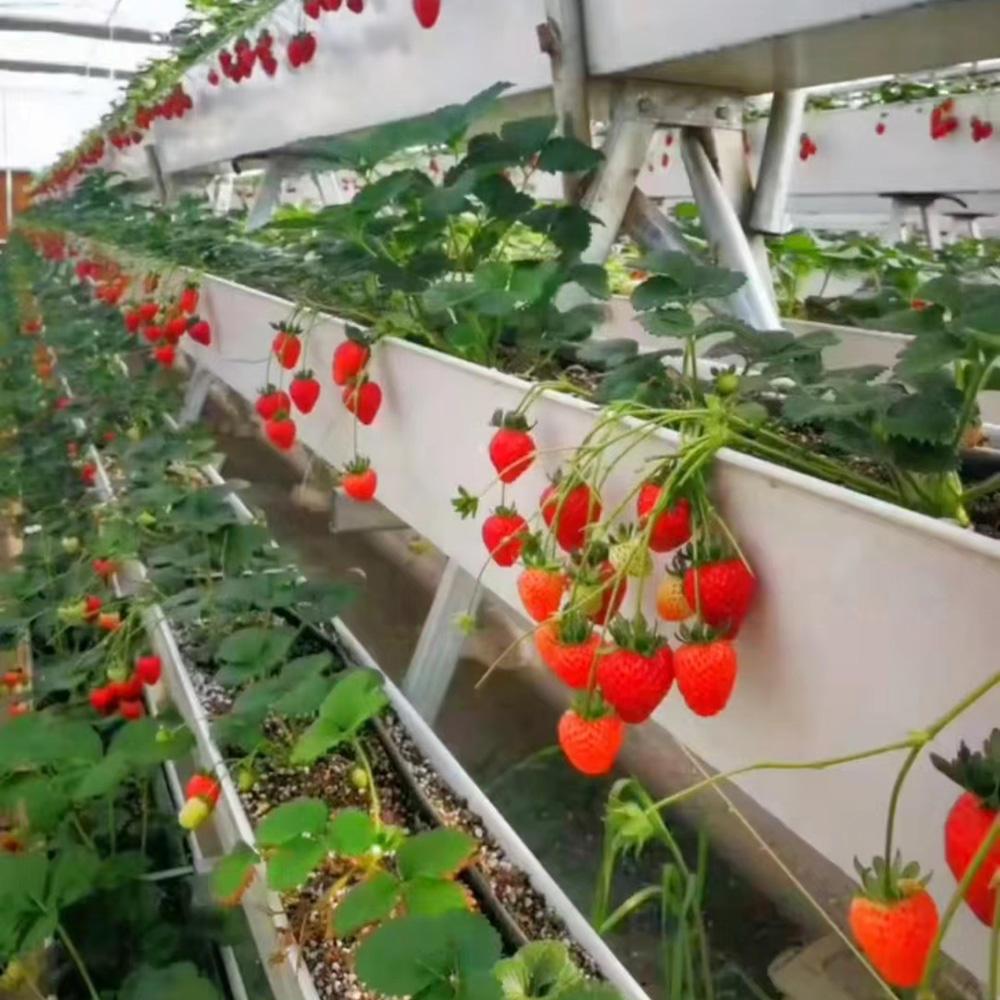 25x32x28cm Greenhouse Strawberry Hydroponics Gutter Growing Systems Vertical Strawberry Gully