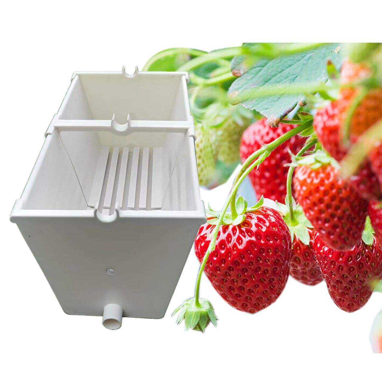 Hydroponic Nft Substrate Gutter System Culture Growing Tray Strawberry Planting Trough