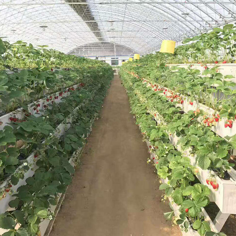 13x19x17.5cm Strawberry Gutter with Drainage Board Strawberry Vertical Guttering Nft Greenhouse System