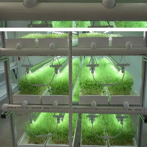 New Hydroponics Fodder Machine ,wheat /barley Fodder Gutter Channel Tray Sprout Growing System
