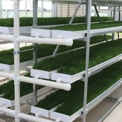Hot Sale Automatic Barley Fodder Growing Systems Channel Gutter Tray Wheat Hydroponic Growing System