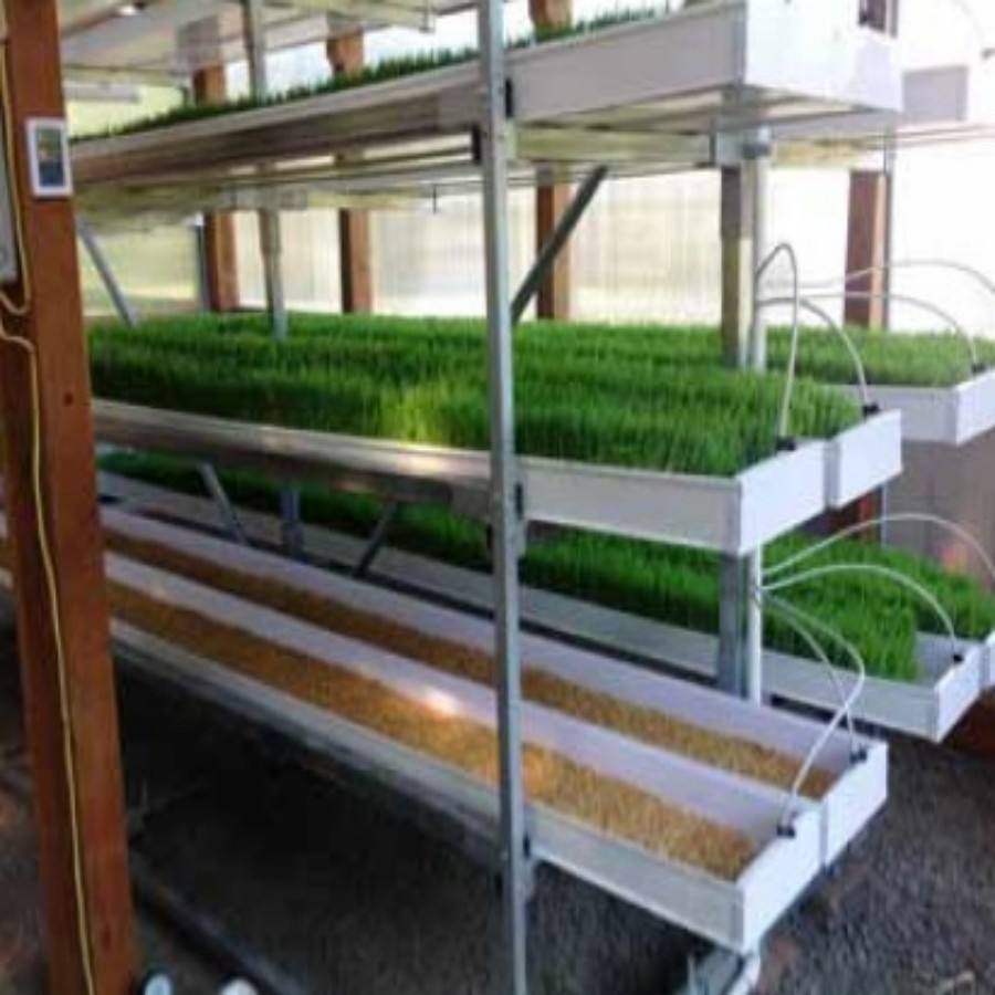 Vertical 7 layers indoor Hydroponic Fodder tray hydroponic system for vegetable seedling