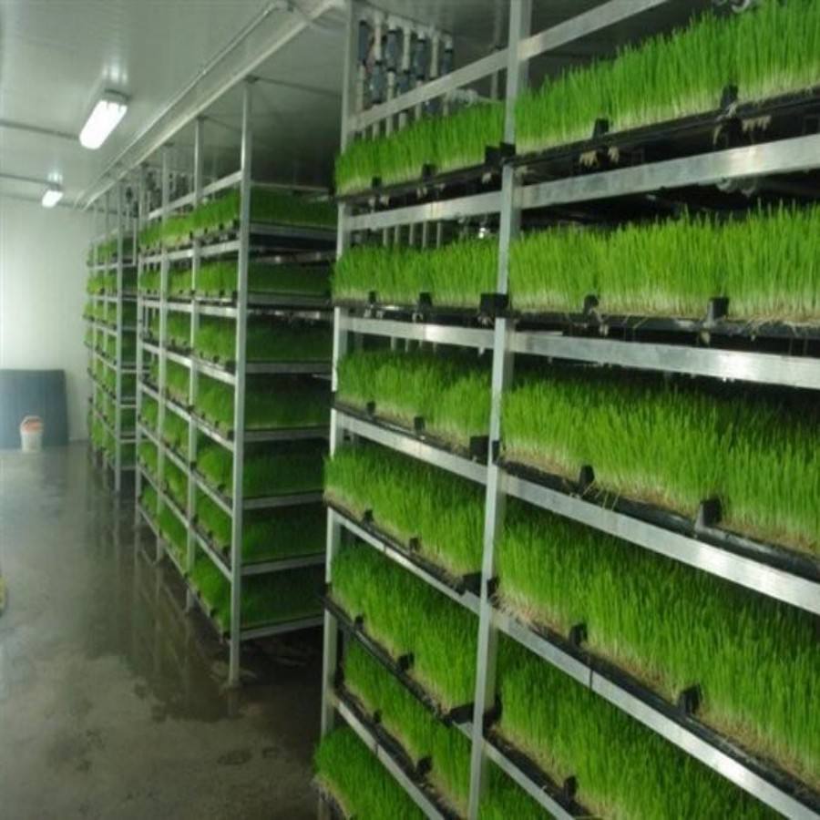 Multiple Layer Areoponics Grow Nft Channel Barley Seeds for Sprouting Animal Fodder Bean Sprout Equipment Seeds Tray System