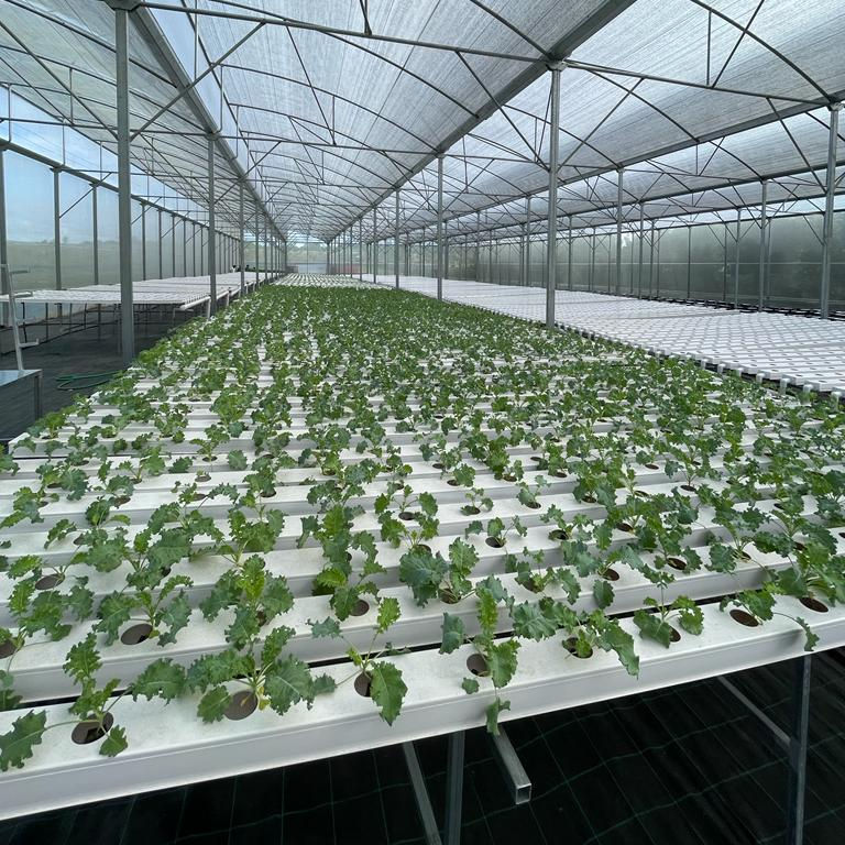MGS Farming Hydroponics System Equipment China Suppliers Agricultural Hydroponic Square NFT Channel for Commercial