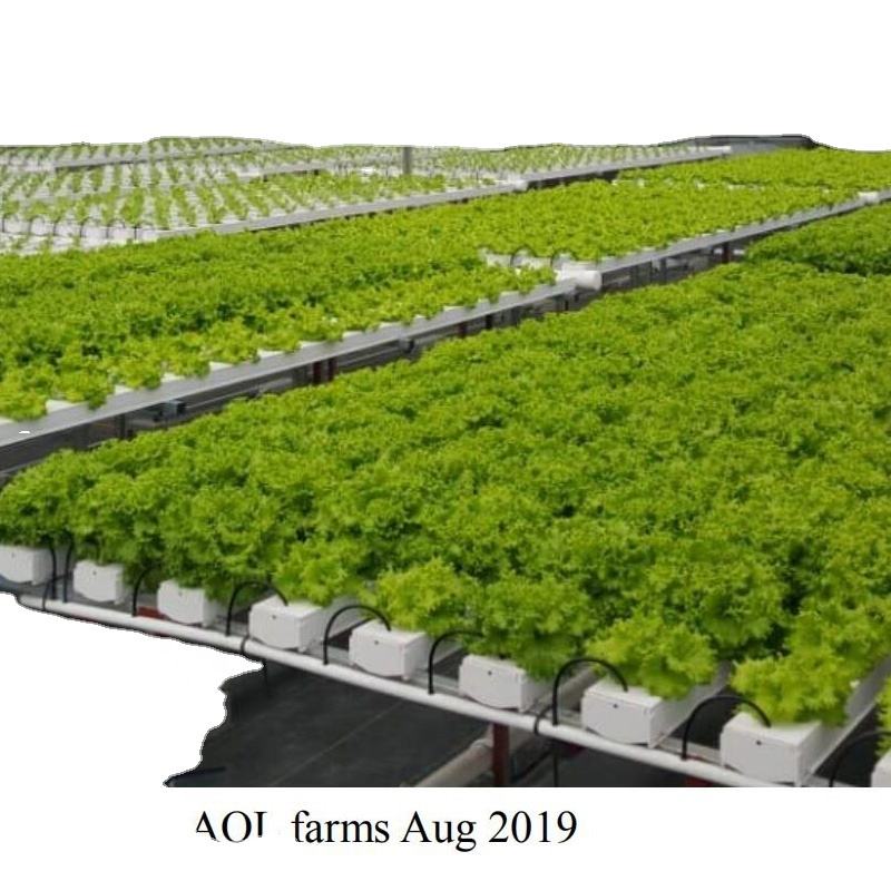 MGS Farming Hydroponics System Equipment China Suppliers Agricultural Hydroponic Square NFT Channel for Commercial