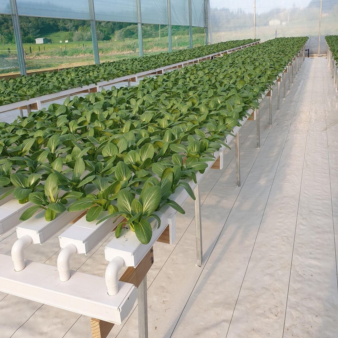 100*50mm with thickness 1.8mm hydroponics NFT channel