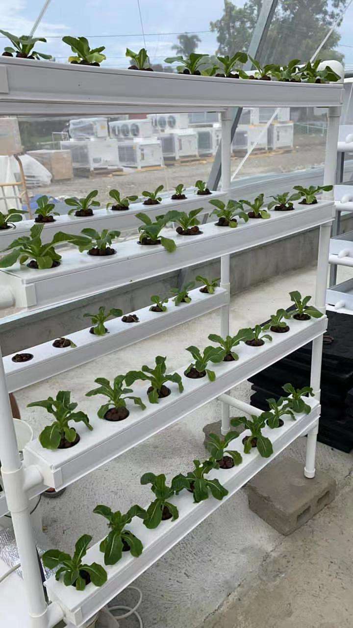 Agricultural Equipment 100x50mm NFT Hydroponics Greenhouse for Sale PVC Channel for Hydroponics System