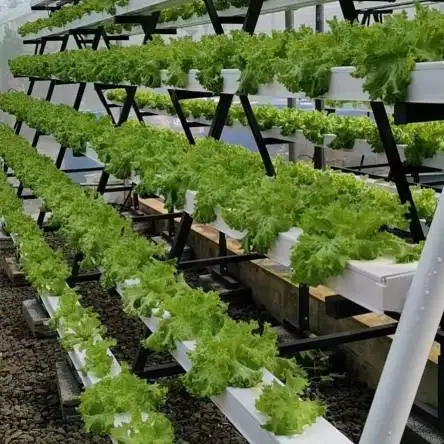 Greenhouse Soilless Cultivation Hidroponic System Microgreen Growing Tower Vertical Farming Hydroponics System