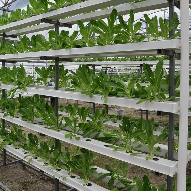 Greenhouse Soilless Cultivation Hidroponic System Microgreen Growing Tower Vertical Farming Hydroponics System