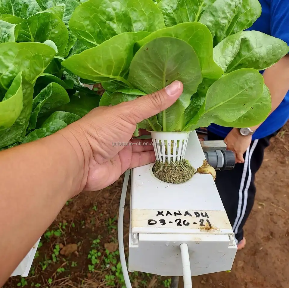 Greenhouse Soilless Cultivation Hidroponic System Microgreen Growing Tower Vertical Farming Hydroponics System