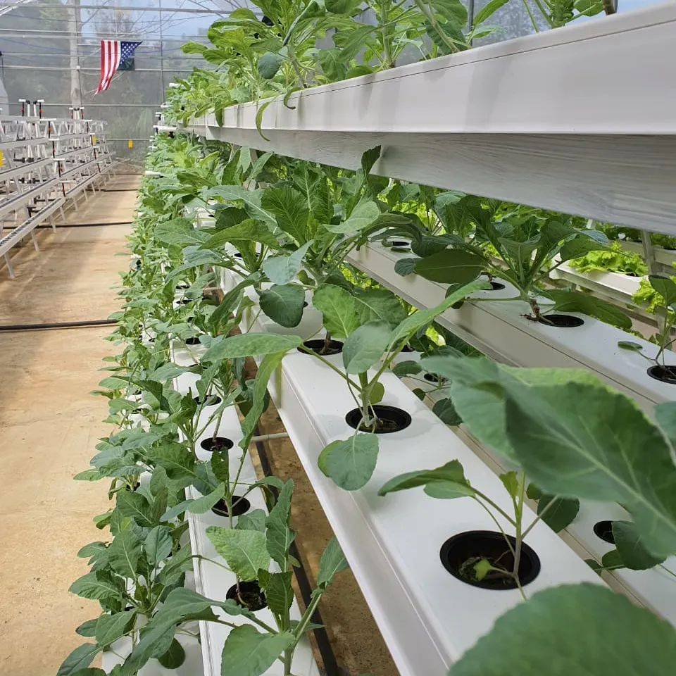 Greenhouse Soilless Cultivation Hidroponic System Microgreen Growing Tower Vertical Farming Hydroponics System