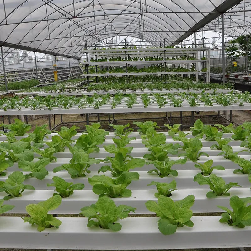 Wholesale Hydroponics Vertical 100x50mm Pipe System Factory Price Hydroponics Growing Hydroponics System Vertical Farming