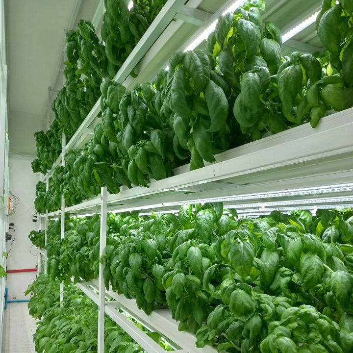 Wholesale Hydroponics Equipment NFT Hydroponics Container System PVC Channel Gutter for Growing System