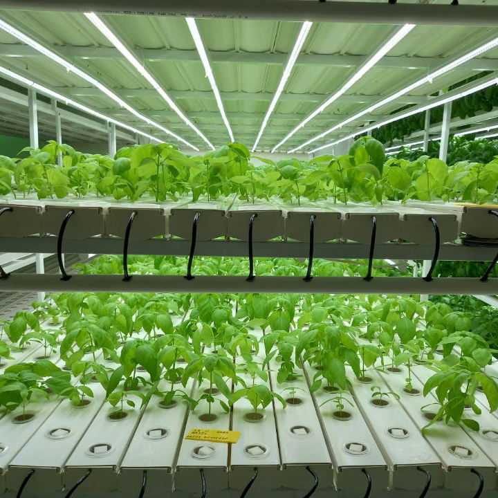 Wholesale Hydroponics Equipment NFT Hydroponics Container System PVC Channel Gutter for Growing System