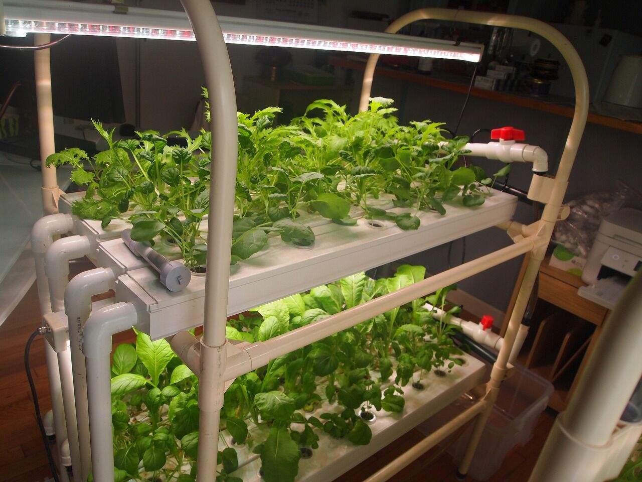 G&N Wholesale Home Garden Hydroponic Growing KIT Mini NFT Channel System for Home Garden Vegetable Planting