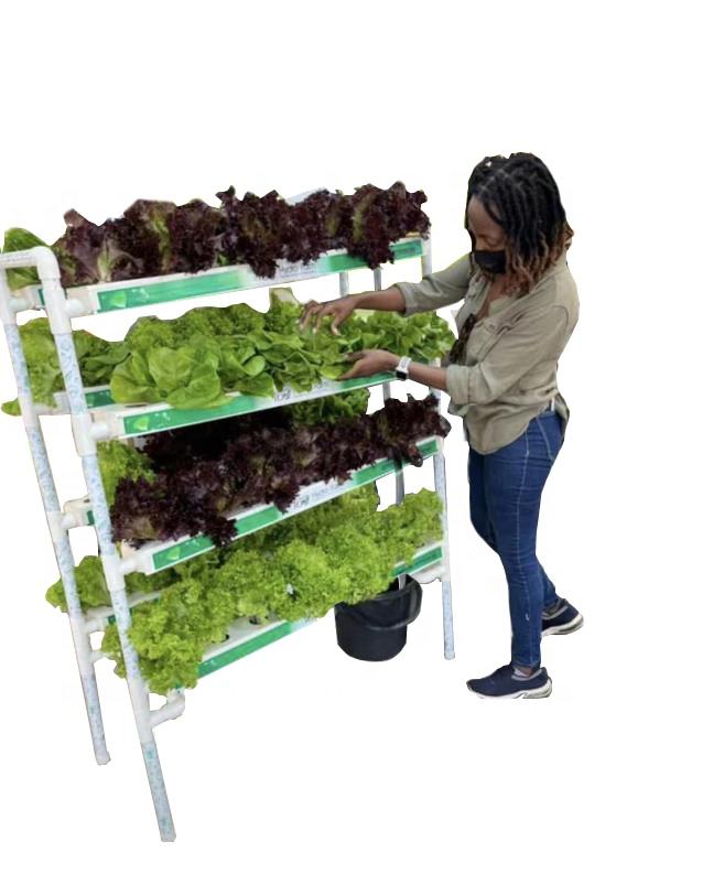 Manufacturer Hydroponic NFT Growing System Home Vegetable Gardening NFT Balcony 64Holes Leafy Vegetable Mini Grow Kit